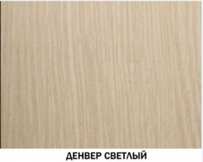 Шкаф для одежды №609 "Инна" Денвер светлый (*без полок) в Глазове - glazov.ok-mebel.com | фото 4