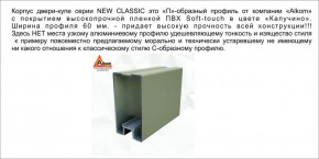 Шкаф-купе 1500 серии NEW CLASSIC K2+K2+B2+PL2(2 ящика+1 штанга+1 полка) профиль «Капучино» в Глазове - glazov.ok-mebel.com | фото 17