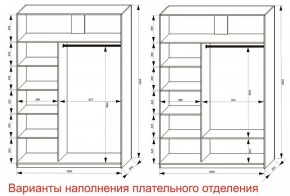 Шкаф-купе 1600 серии SOFT D6+D4+B2+PL2 (2 ящика+1штанга+1 полка) профиль «Капучино» в Глазове - glazov.ok-mebel.com | фото 8