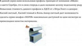 Шкаф-купе 1950 серии SILVER S5+S5+S5 B22+PL4 (по 2 ящика лев/прав+F обр.штанга) профиль «Серебро» в Глазове - glazov.ok-mebel.com | фото 4