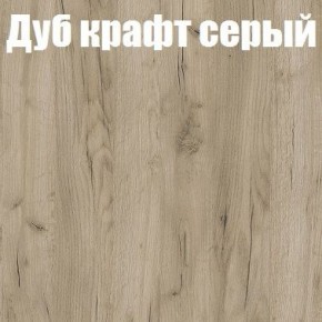 Шкаф-купе Бассо 1.0 (Дуб Крафт серый/Бетонный камень) 2 двери ЛДСП 2 зеркальные вставки в Глазове - glazov.ok-mebel.com | фото 4