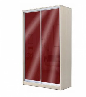 Шкаф-купе ХИТ 22-4-12/2-22 (420) в Глазове - glazov.ok-mebel.com | фото 9