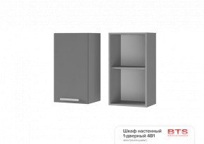 ШКАФ НАСТЕННЫЙ 1-ДВЕРНЫЙ 4В1 (400Х720Х310) КГ Крафт в Глазове - glazov.ok-mebel.com | фото