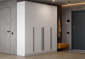 Шкаф платяной Бирма в Глазове - glazov.ok-mebel.com | фото 4