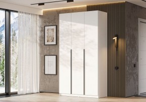 Шкаф платяной Даиго в Глазове - glazov.ok-mebel.com | фото 3
