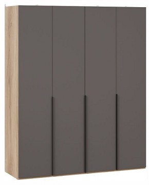 Шкаф платяной Порто СМ-393.07.110 в Глазове - glazov.ok-mebel.com | фото