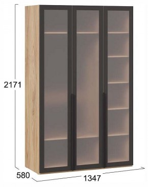 Шкаф платяной Порто СМ-393.07.117 в Глазове - glazov.ok-mebel.com | фото 4