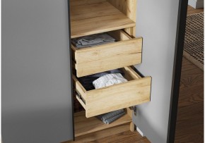 Шкаф платяной Широн в Глазове - glazov.ok-mebel.com | фото 3