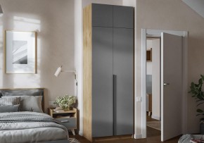 Шкаф платяной Широн в Глазове - glazov.ok-mebel.com | фото 4