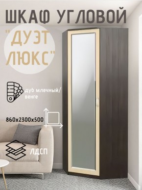 Шкаф угловой Дуэт Люкс с зеркалом в Глазове - glazov.ok-mebel.com | фото 5