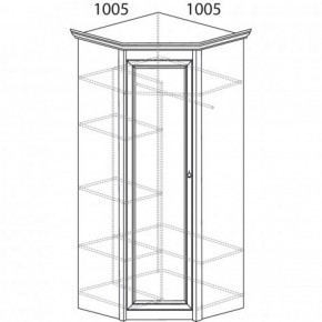 Шкаф угловой №662 "Флоренция" Фасад глухой (угол 1005*1005) Дуб оксфорд в Глазове - glazov.ok-mebel.com | фото 3