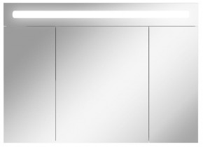 Шкаф-зеркало Аврора 100 с подсветкой LED Домино (DV8012HZ) в Глазове - glazov.ok-mebel.com | фото