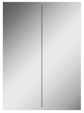 Шкаф-зеркало Норма 50 2 двери АЙСБЕРГ (DA1636HZ) в Глазове - glazov.ok-mebel.com | фото 4
