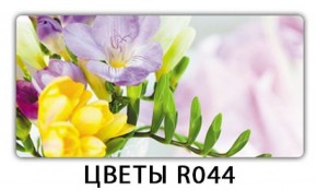 Стол раздвижной Бриз лайм R156 Доска D110 в Глазове - glazov.ok-mebel.com | фото 16