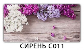 Стол раздвижной Трилогия с фотопечатью Орхидея C012 в Глазове - glazov.ok-mebel.com | фото 16