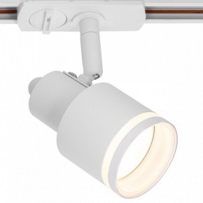 Светильник на штанге Citilux Bruno CL565T10 в Глазове - glazov.ok-mebel.com | фото 2