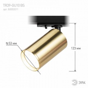 Светильник на штанге Эра  TR39-GU10 BS в Глазове - glazov.ok-mebel.com | фото 6