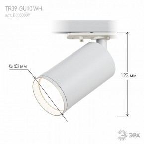 Светильник на штанге Эра  TR39-GU10 WH в Глазове - glazov.ok-mebel.com | фото 7