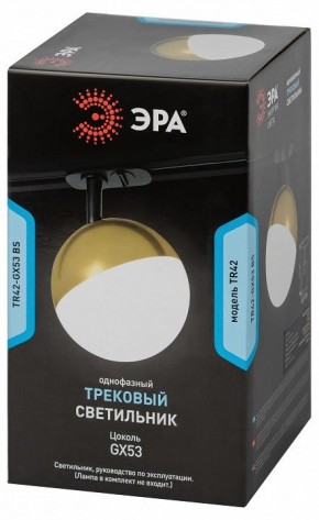 Светильник на штанге Эра  TR42-GX53 BS в Глазове - glazov.ok-mebel.com | фото 6