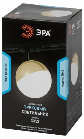 Светильник на штанге Эра  TR42-GX53 MG в Глазове - glazov.ok-mebel.com | фото 6