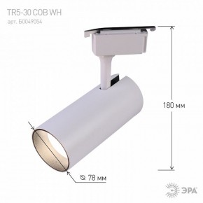 Светильник на штанге Эра  TR5-30 COB WH в Глазове - glazov.ok-mebel.com | фото 6