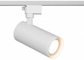Светильник на штанге Эра  TR59 - 3030 WH в Глазове - glazov.ok-mebel.com | фото