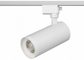 Светильник на штанге Эра  TR59 - 3030 WH в Глазове - glazov.ok-mebel.com | фото 2