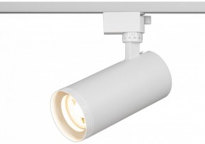 Светильник на штанге Эра  TR59 - 3030 WH в Глазове - glazov.ok-mebel.com | фото 5