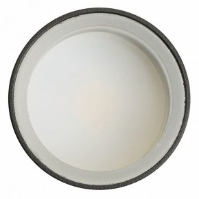 Светильник на штанге Feron ML1001 51371 в Глазове - glazov.ok-mebel.com | фото 4