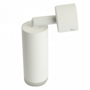 Светильник на штанге Feron ML1021 51390 в Глазове - glazov.ok-mebel.com | фото 3