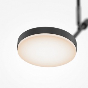 Светильник на штанге Maytoni Fad MOD070CL-L8B3K в Глазове - glazov.ok-mebel.com | фото 4