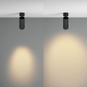 Светильник на штанге Maytoni Focus Zoom C055CL-L12W2.7K-Z-B в Глазове - glazov.ok-mebel.com | фото 3