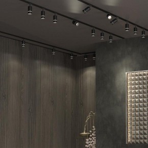 Светильник на штанге Novotech Elina 370777 в Глазове - glazov.ok-mebel.com | фото 4
