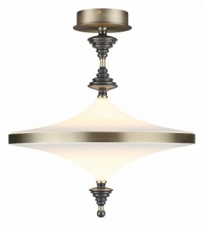 Светильник на штанге Odeon Light Ula 5404/43CL в Глазове - glazov.ok-mebel.com | фото 2