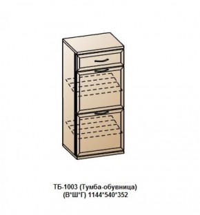 ТБ-1003 (Тумба-обувница) в Глазове - glazov.ok-mebel.com | фото