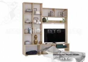 ФЛАЙ Центральная секция ЦС-01 (дуб сонома/белый) в Глазове - glazov.ok-mebel.com | фото 4