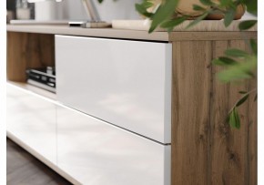 Тумба под ТВ Маллоу в Глазове - glazov.ok-mebel.com | фото 4