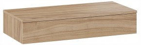 Тумбочка навесная ТД-102.08.02 в Глазове - glazov.ok-mebel.com | фото 3