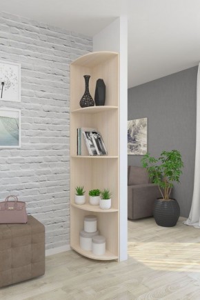 Угловой элемент (250*480*2000) в Глазове - glazov.ok-mebel.com | фото