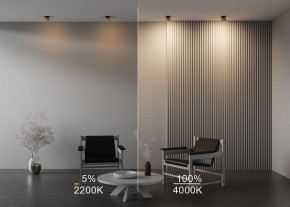 Встраиваемый светильник Maytoni Onda DL024-12W-DTW-BMG в Глазове - glazov.ok-mebel.com | фото 9
