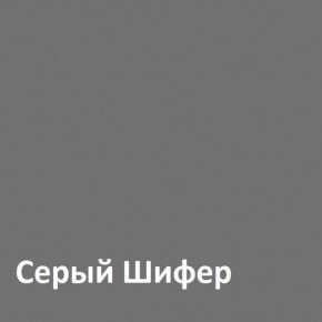 Юнона Шкаф торцевой 13.221 в Глазове - glazov.ok-mebel.com | фото 2