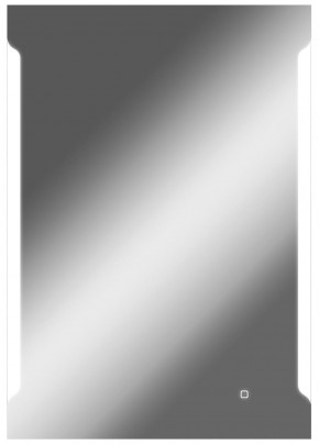 Зеркало Оттава 1000х700 с подсветкой Домино (GL7028Z) в Глазове - glazov.ok-mebel.com | фото 1